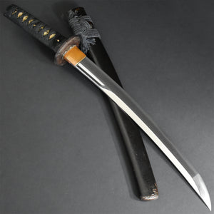 Authentic JAPANESE SAMURAI KATANA SWORD WAKIZASHI SADATSUGU 貞次 signed w/NBTHK TOKUBETSU KICHO PAPER w/KOSHIRAE ANTIQUE