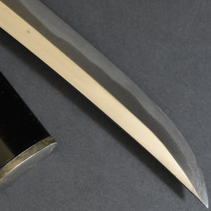 Authentic JAPANESE SAMURAI KATANA SWORD WAKIZASHI CHIGO SWORD 稚児刀 JYUMYO 寿命 w/NTHK CERTIFICATE w/KOSHIRAE ANTIQUE