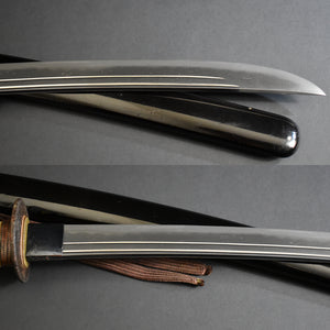 Authentic JAPANESE SAMURAI KATANA SWORD WAKIZASHI KANESADA 兼定 w/NTHK CERTIFICATE ANTIQUE