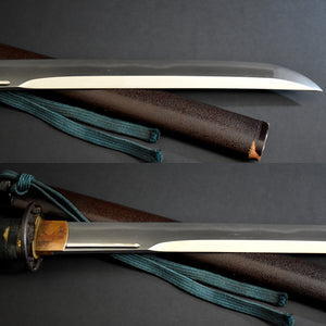 Authentic JAPANESE SAMURAI KATANA SWORD WAKIZASHI ECHIZEN SEKI 越前関 w/NTHK CERTIFICATE w/KOSHIRAE ANTIQUE