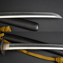 Load image into Gallery viewer, Authentic JAPANESE SAMURAI KATANA SWORD WAKIZASHI JYUMYO 寿命 signed w/NBTHK TOKUBETSU KICHO PAPER x2 w/KOSHIRAE ANTIQUE