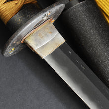 Load image into Gallery viewer, Authentic JAPANESE SAMURAI KATANA SWORD WAKIZASHI JYUMYO 寿命 signed w/NBTHK TOKUBETSU KICHO PAPER x2 w/KOSHIRAE ANTIQUE