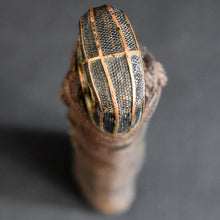 Load image into Gallery viewer, Authentic JAPANESE SAMURAI KATANA SWORD WAKIZASHI TADAHIRO 忠廣 signed w/NBTHK TOKUBETSU KICHO PAPER w/KOSHIRAE ANTIQUE